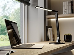 Delovna soba Delovna soba